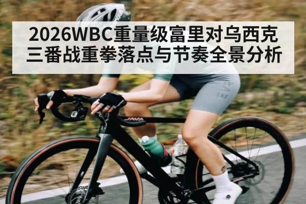 2026WBC重量级富里对乌西克三番战重拳落点与节奏全景分析